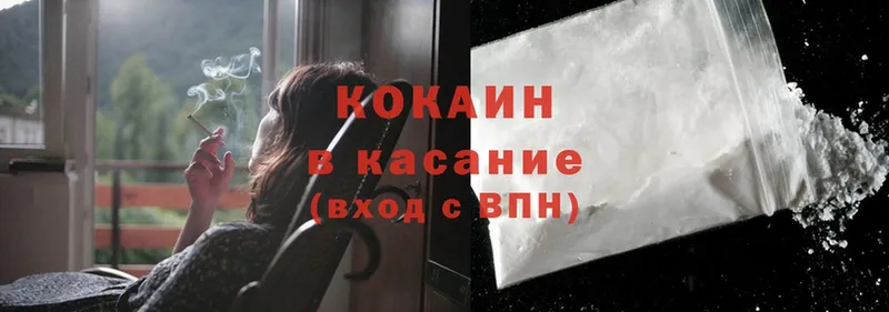 цена наркотик  Шенкурск  mega маркетплейс  Cocaine Эквадор 